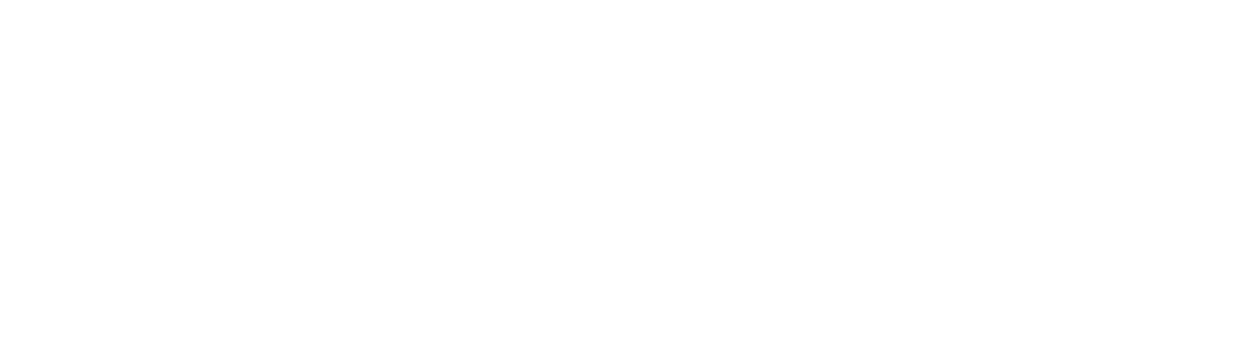 K9Luva Training and High Needs Home Stays